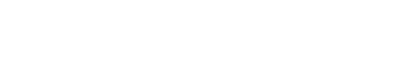 Chicago Northwest Limo logo