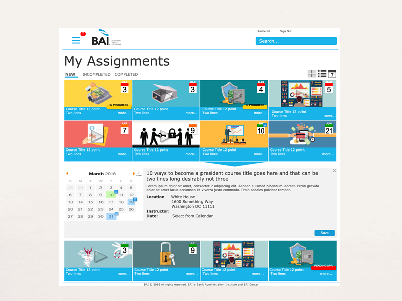 bai learning management system experience project